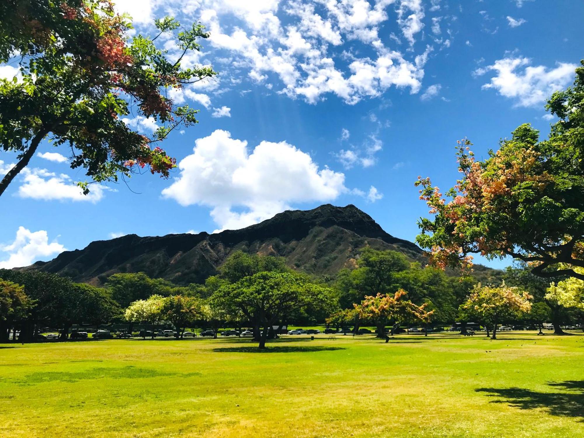 Royal Kuhio 1713 - Spacious Studio With Stunning City Views In The Heart Of Waikiki! هونولولو المظهر الخارجي الصورة